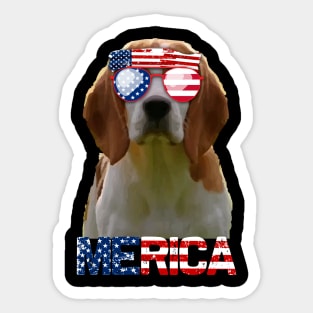 Merica Beagles Dog American Flag 4Th Of July Sticker